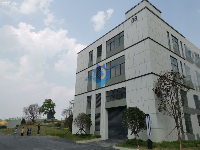 非中介 真实信息 50年产权独栋标准厂房出售 可按揭首付低